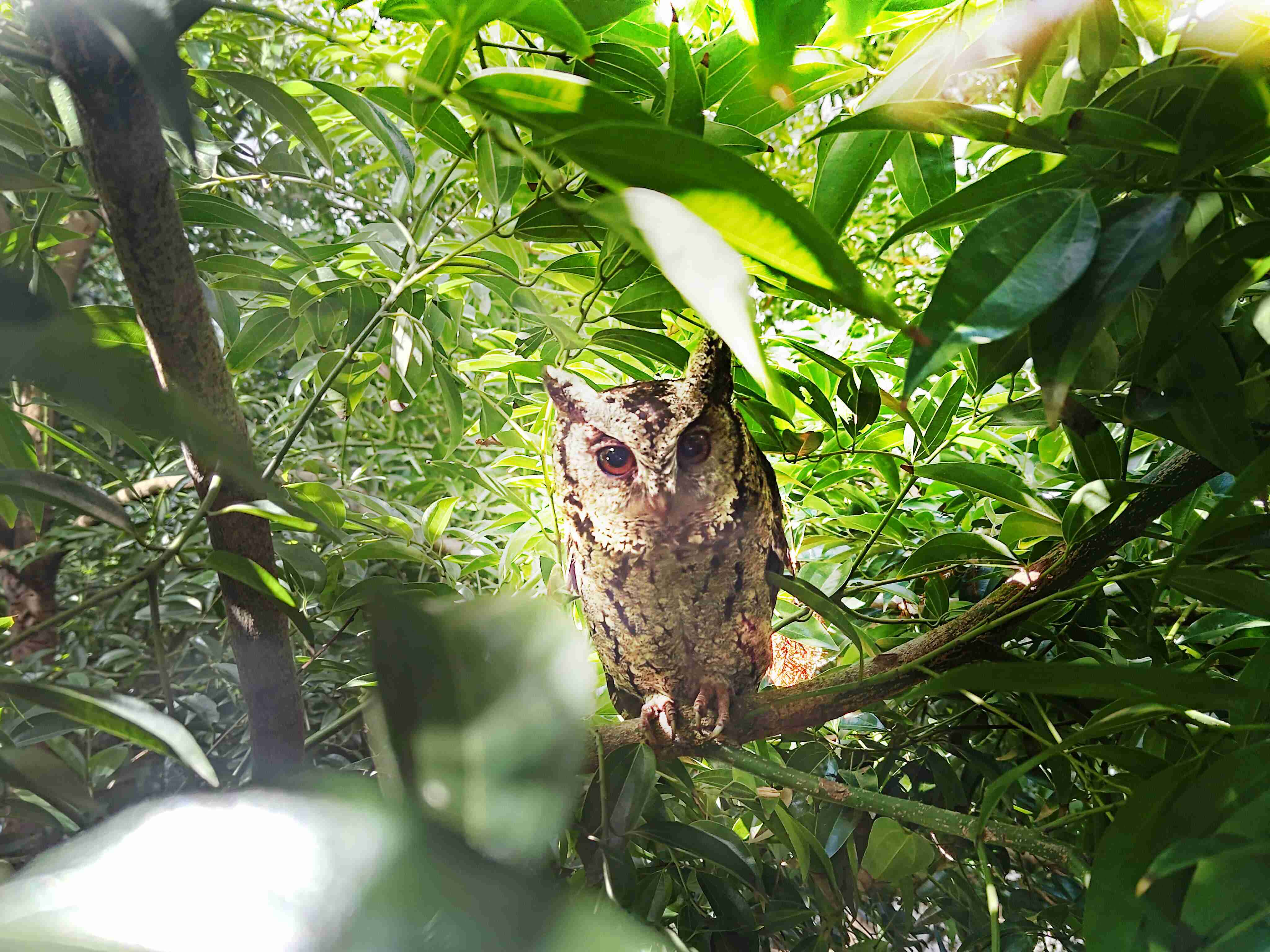 汇旺支付致力提倡净零绿生活，，16年以来在全球各厂区植树逾百万棵，，，造就各厂区树木蔚然成林，，，犹如森林工厂，，，成为许多生物的栖息地